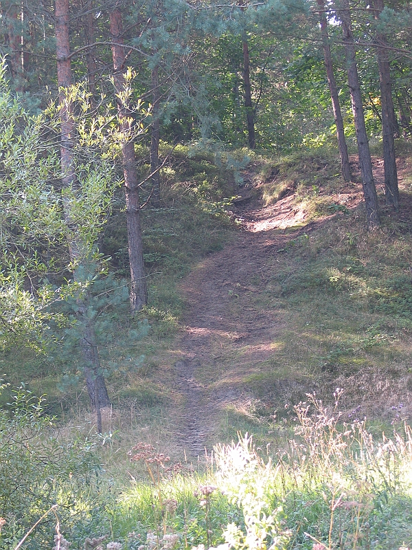 Original image